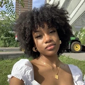 Afro hair spring hairstyles FroHub
