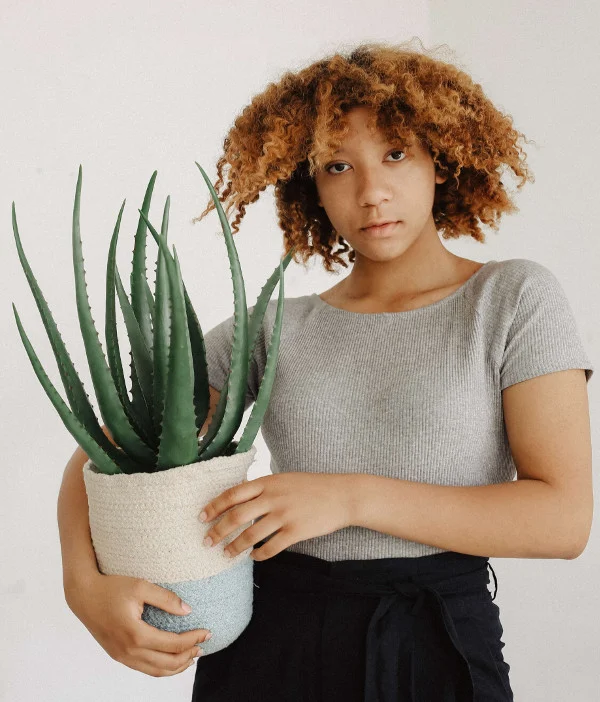 Aloe Afro Hair Hydration Galore