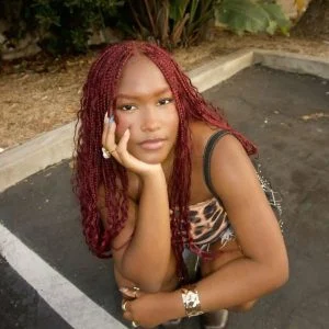 burgundy goddess braids for autumn