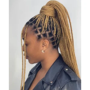 colour 27 knotless braids FroHub