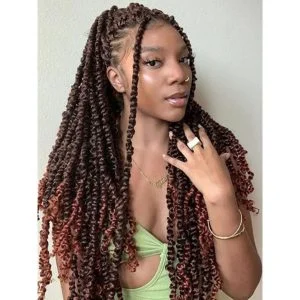 Half Up Half Down Passion Twists