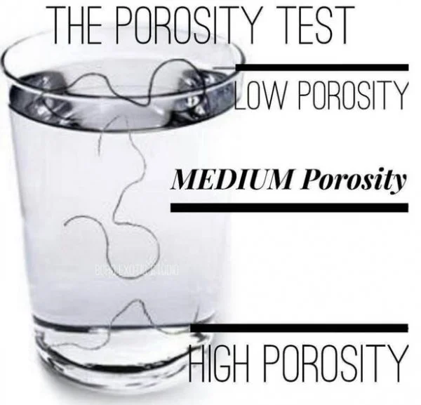 What is Hair Porosity?